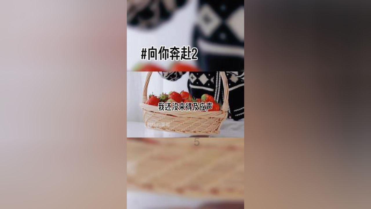 乐儿七巧板
