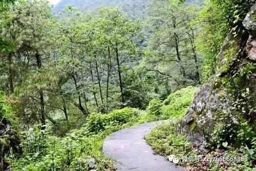 营救迷路的小男孩