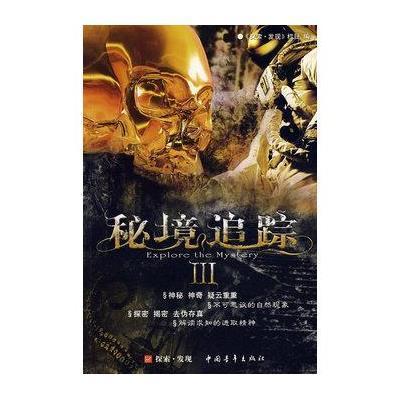 清理脏乱的宫殿
