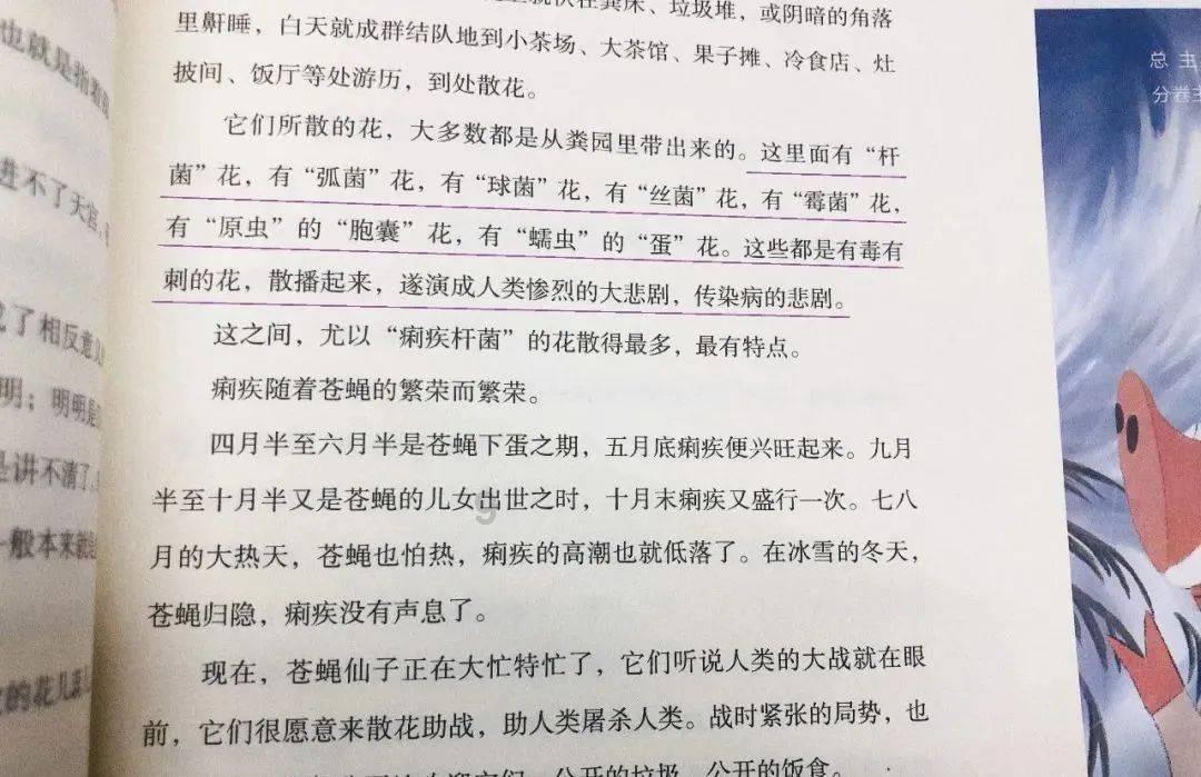 美人鱼游玩