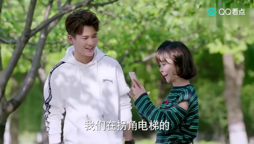 拯救昆虫群
