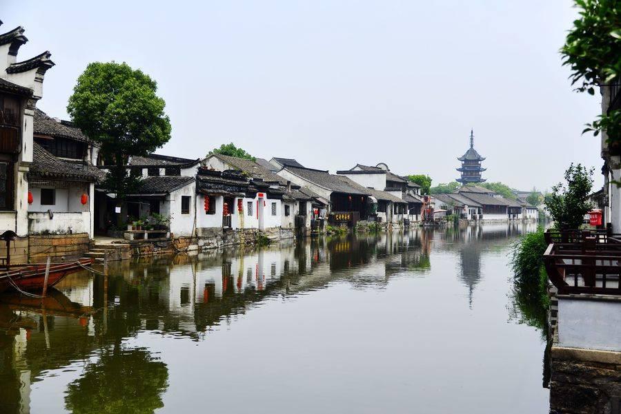 拯救小萌虎